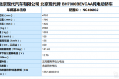纯电续航达490km 菲斯塔纯电版2019年底上市