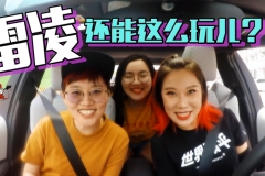 这才是真正的丰田雷凌！开了两个月,车主评价了8个字