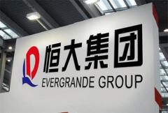 新能源汽车首现负增长 新入者仍将砥砺前行