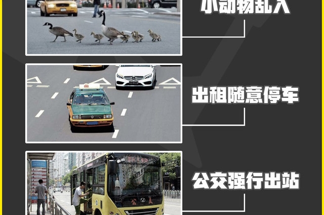 这些道路紧急事件，你也遇到过吗？