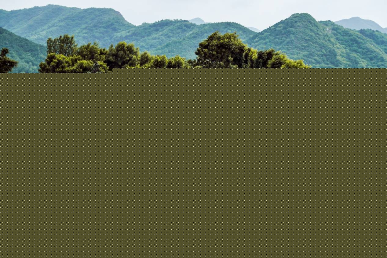 力压群雄  哈弗F7x颠覆自主品牌产品力
