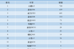 造车新势力销量惨淡，是什么让你放弃买它们？安全性？
