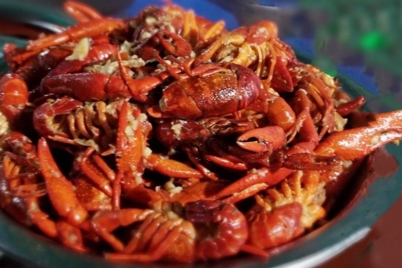 车友投稿|小长假旅游or肥宅？这位车友给出了终极选项