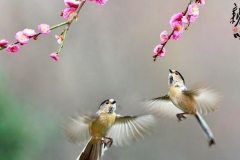 德阳交通：疫线文学（二）