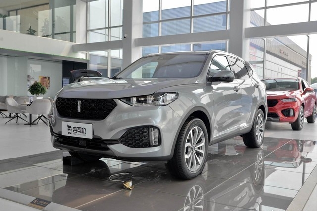 气质运动而不失优雅 小哥带你看WEY VV6