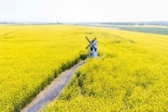 德阳交通：疫线文学（三）