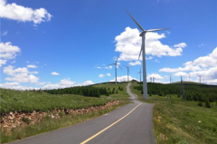 4月底有望摘口罩 选辆车自驾出去撒欢儿吗？