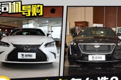 二线豪华品牌之战！四款豪华中大型车推荐