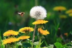 德阳交通：疫线文学（四）