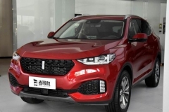 新势力中的实力派 小哥带你看WEY VV6