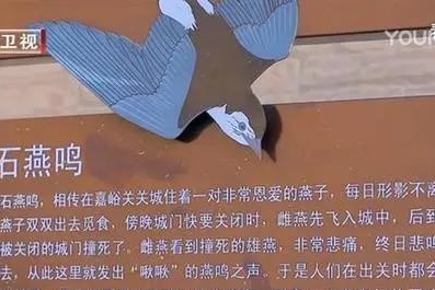 了不起的长城背后：哈弗H6凭什么8年突破300万辆？