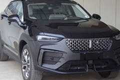 外观更激进 WEY VV7 GT PRO申报信息