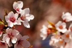 德阳交通：疫线文学（五）