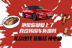 泡菜你都爱上了 喜欢菲斯塔纯电动还难吗？