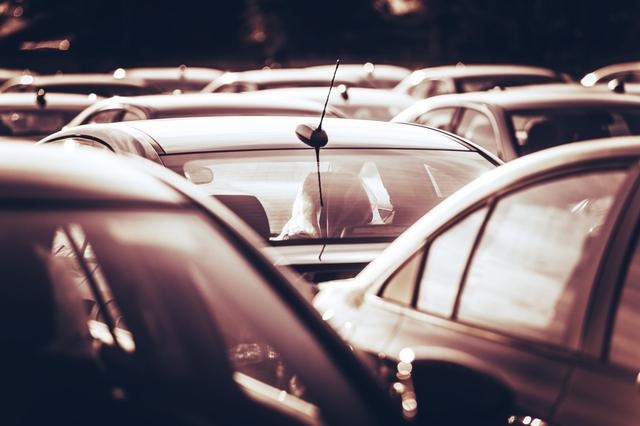 2月车市销量：雷凌超越卡罗拉，特斯拉成大黑马，哈弗H6跌幅最高