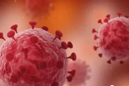 中国底线不容侵犯！120万个试剂盒来了！中国速度让西方羡慕，特朗普：请考虑美国优先