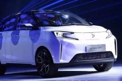 八问新特DEV1：挥着潮流电动车的旗，配着老年代步车的件