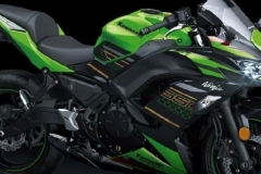 川崎官方公布今年引进国内新车型，Z900，Z H2等共计5款