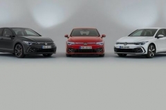 新能源火种点燃，但全球第三极隐忧不少 | 欧洲人买什么车