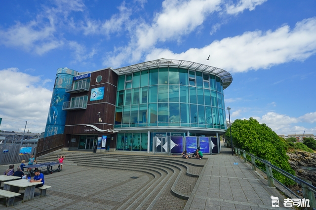 3500英里走遍英伦19 英国最大水族馆什么样？