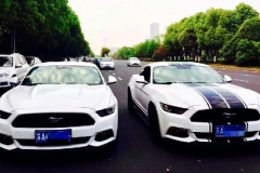 精神小伙不甘买菜车的寂寞，怒提野马成为玩车老司机