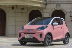 一切为你精心定制，奇瑞新能源小蚂蚁女王版图解