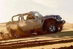 疫情退却的春日里，不如与全新Jeep牧马人一同撒个欢