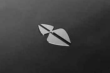 奇点汽车：一边成长一边消亡