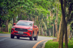 拓宽生活边界 与哈弗F7x共赴春日之约