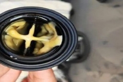 汽车大观| 丰田“机油门”愈演愈烈 日系车“重蹈覆辙” ？