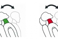 别只关注车外安全碰撞，车内安全碰撞也很要命