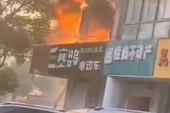 赛鸽经销商一夜烧掉70万，企业的做法让人震惊