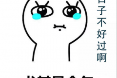 2月B级车销量，这15款卖得最好，君越、帕萨特、迈腾降幅超九成！