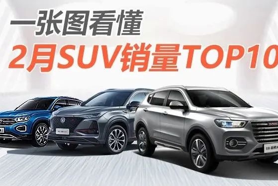一张图看懂2月SUV销量Top10