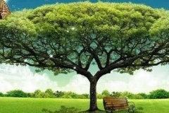 绿色出行，低碳生活，每天都是“植树节”