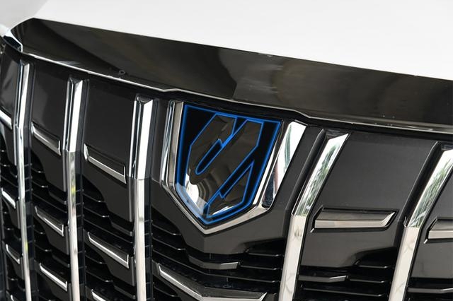 移动中的豪华享受，起步价更高的威尔法如何，土豪：买就对了