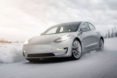 冰火两重天 特斯拉在“全网声讨”中逆市上扬