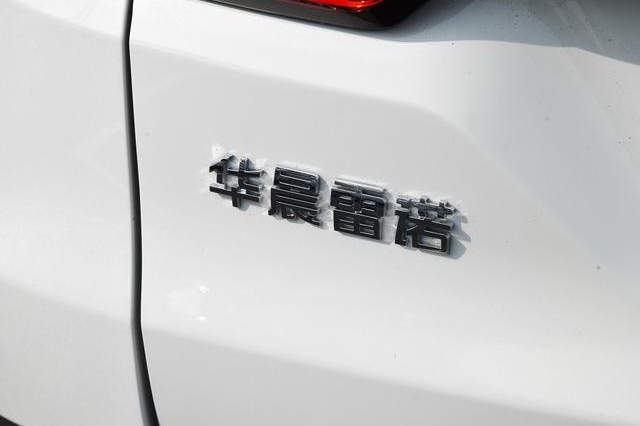 车头金杯，车尾雷诺，这款中型SUV只卖6万起，月销量却仅有200辆