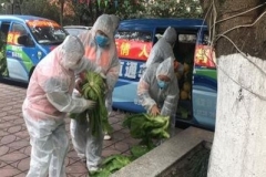 抗疫风采录：一运篇 ——四川省德阳市第一汽车运输公司抗疫纪实