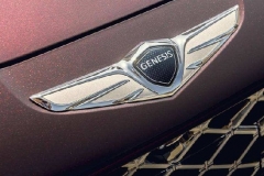 转型电气化 捷尼赛思注册新能源车名称