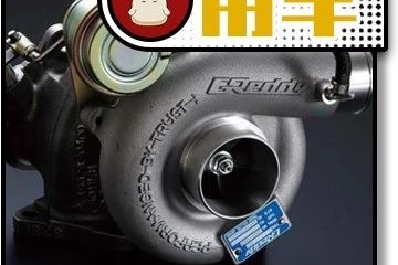 车尾不放行李改放TA，这究竟是哪门的神操作？