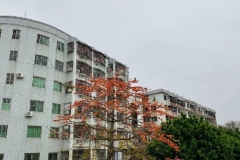 万物皆可互联网？新手女司机体验自助洗车，感觉踩入一个深坑