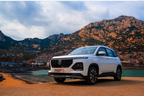 硬核担当 开辟数字化营销新渠道