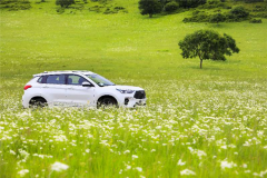 以智服人 新H6 Coupe智联版就是这么优秀