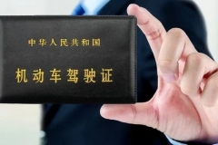 不开车最高奖6分？疫情期间这些政策，堪称车主福利