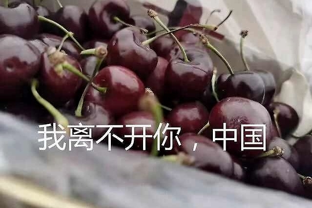 全球进入比惨模式，威马取消年终奖，上汽大通降薪勇转型