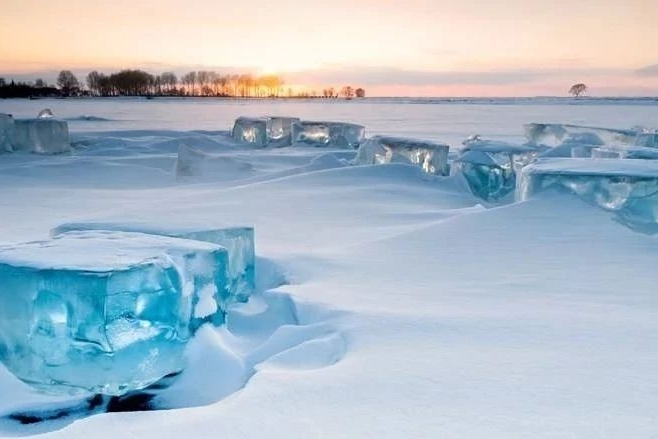 2月车市崩落80%，降薪的上汽带头跌近九成 | 一句话点评