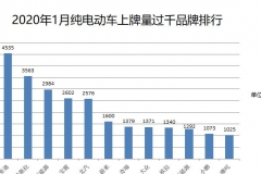 2020年1月纯电动品牌上牌量 比亚迪总量最多 国产Model 3单车型夺冠