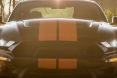 壁纸｜来一波野马