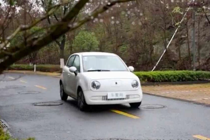 90后双料车主：定了Model 3后，为什么又提了一辆欧拉R1？